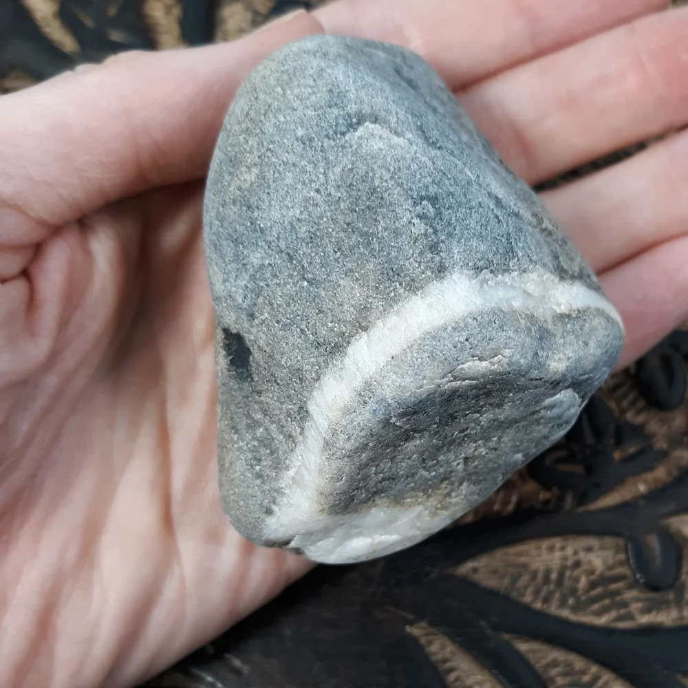5 Banded Stones East Coast Beach Rocks Raw Rough Mineral Specimens Gray White